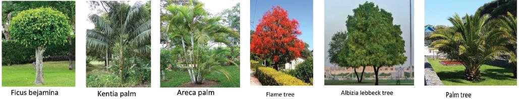 Technical Building Services Optimization 8